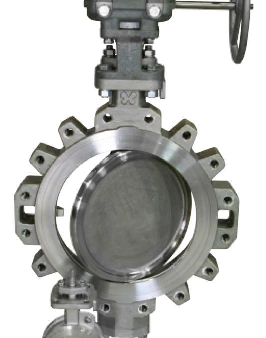 Double Offset High Performance Butterfly Valve – HIPPO